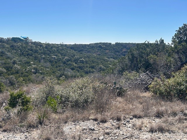 Lot 418 Private Road 1748 Road Mico, TX 78056 - Photo 4 of 16
