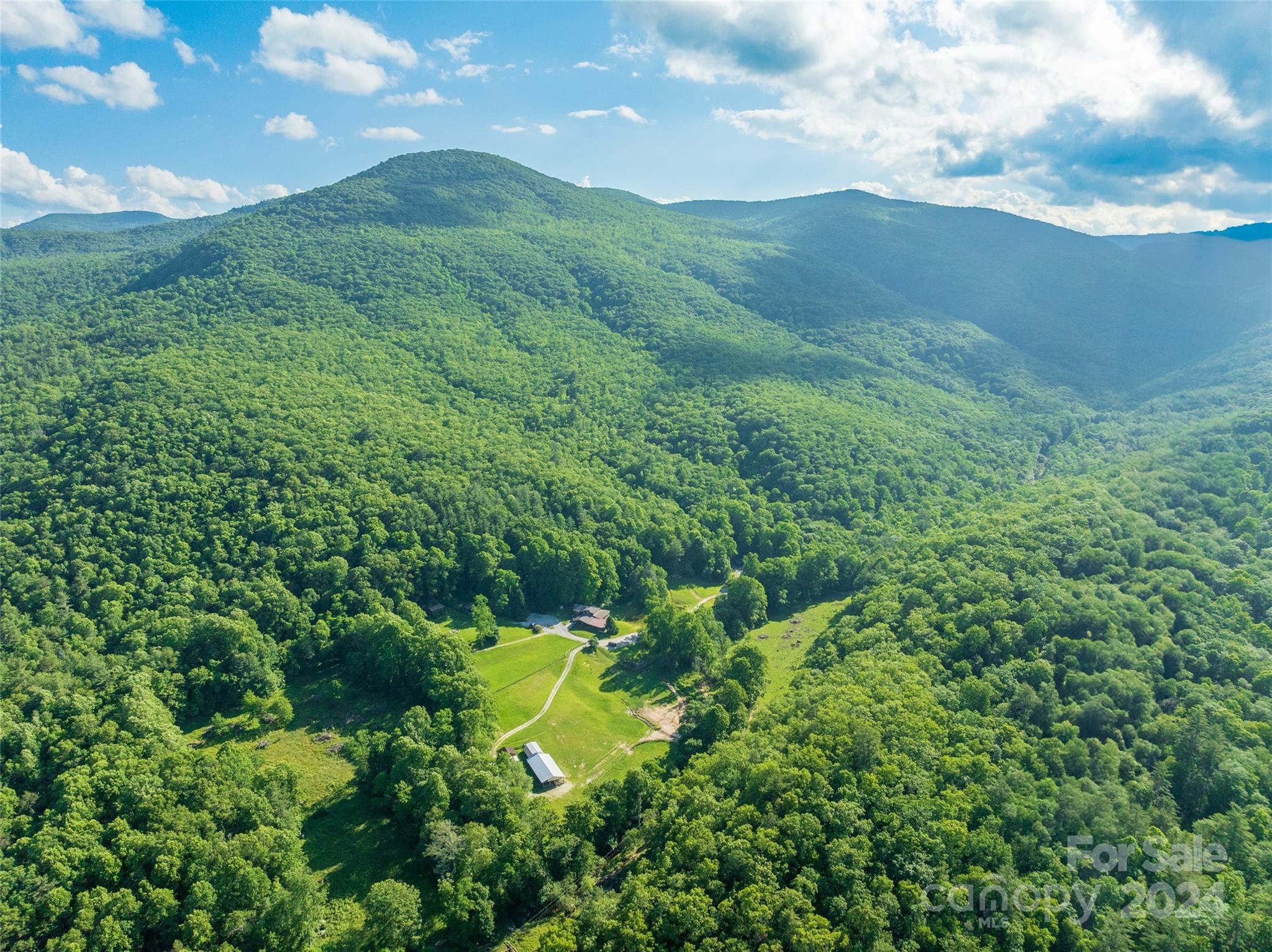 500 Winding Gap Road Lake Toxaway, NC 28747 - Photo 2 of 14 a view of a lush green forest with lots of trees