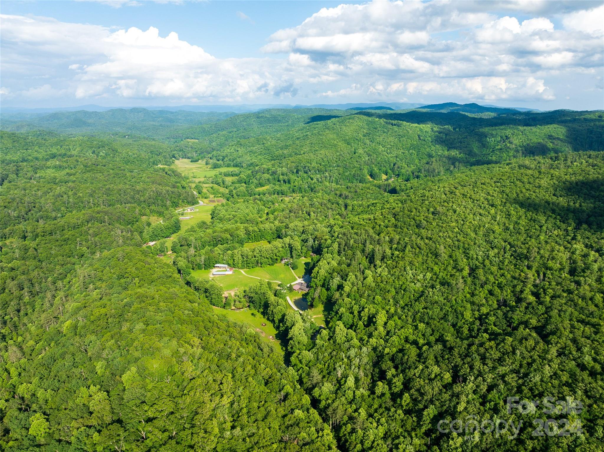 500 Winding Gap Road Lake Toxaway, NC 28747 - Photo 3 of 14 a view of a big yard with plants and a small tree