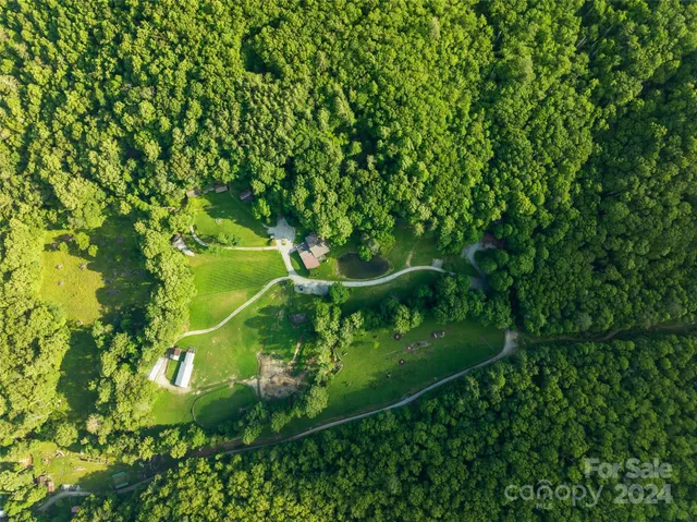 a green field with lots of bushes
