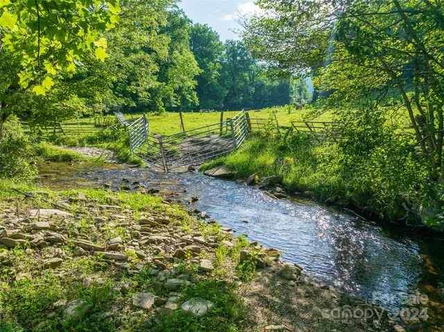 a view of a yard with plants and a small yard
