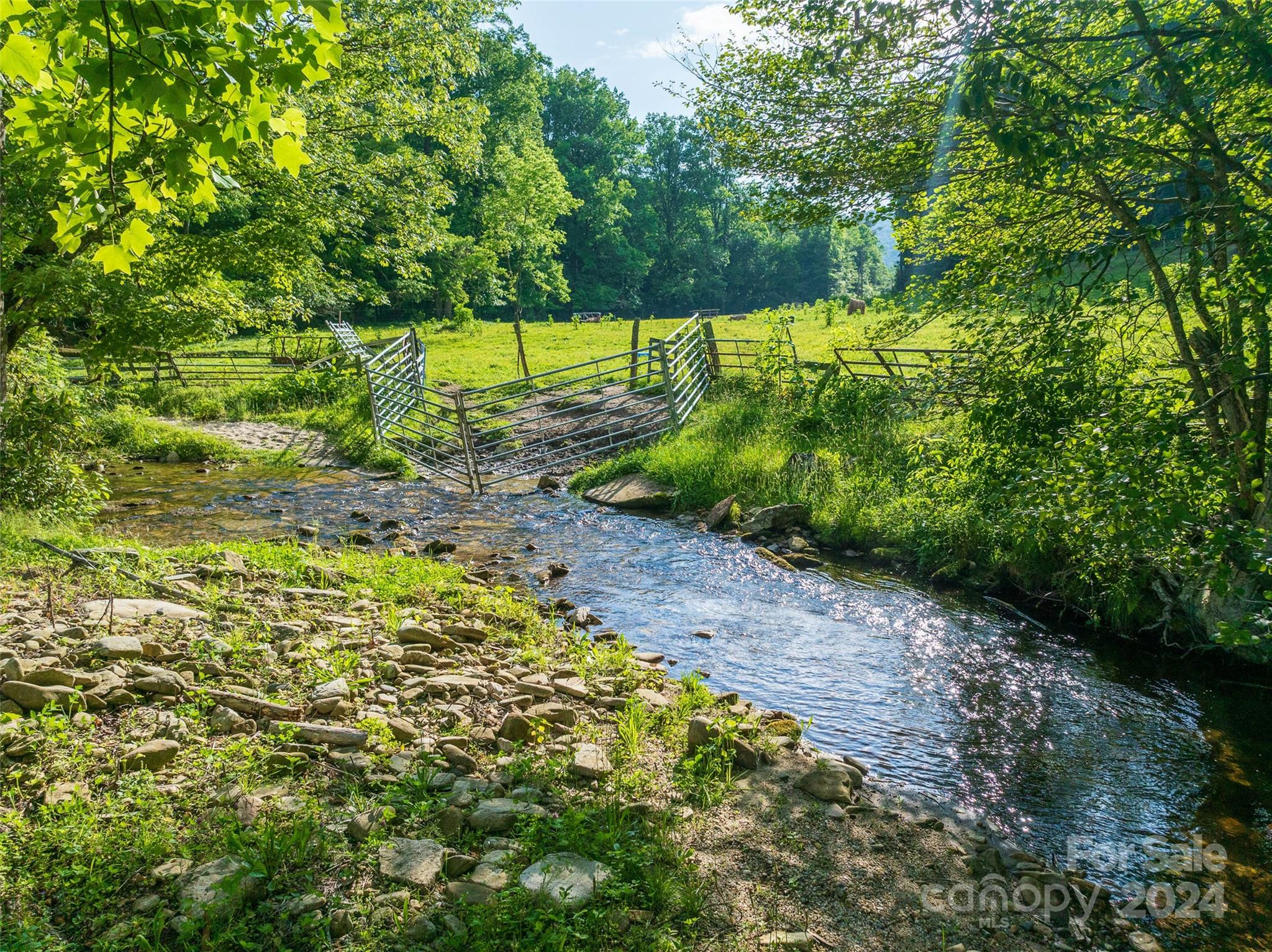 500 Winding Gap Road Lake Toxaway, NC 28747 - Photo 7 of 14 a view of a yard with plants and a small yard