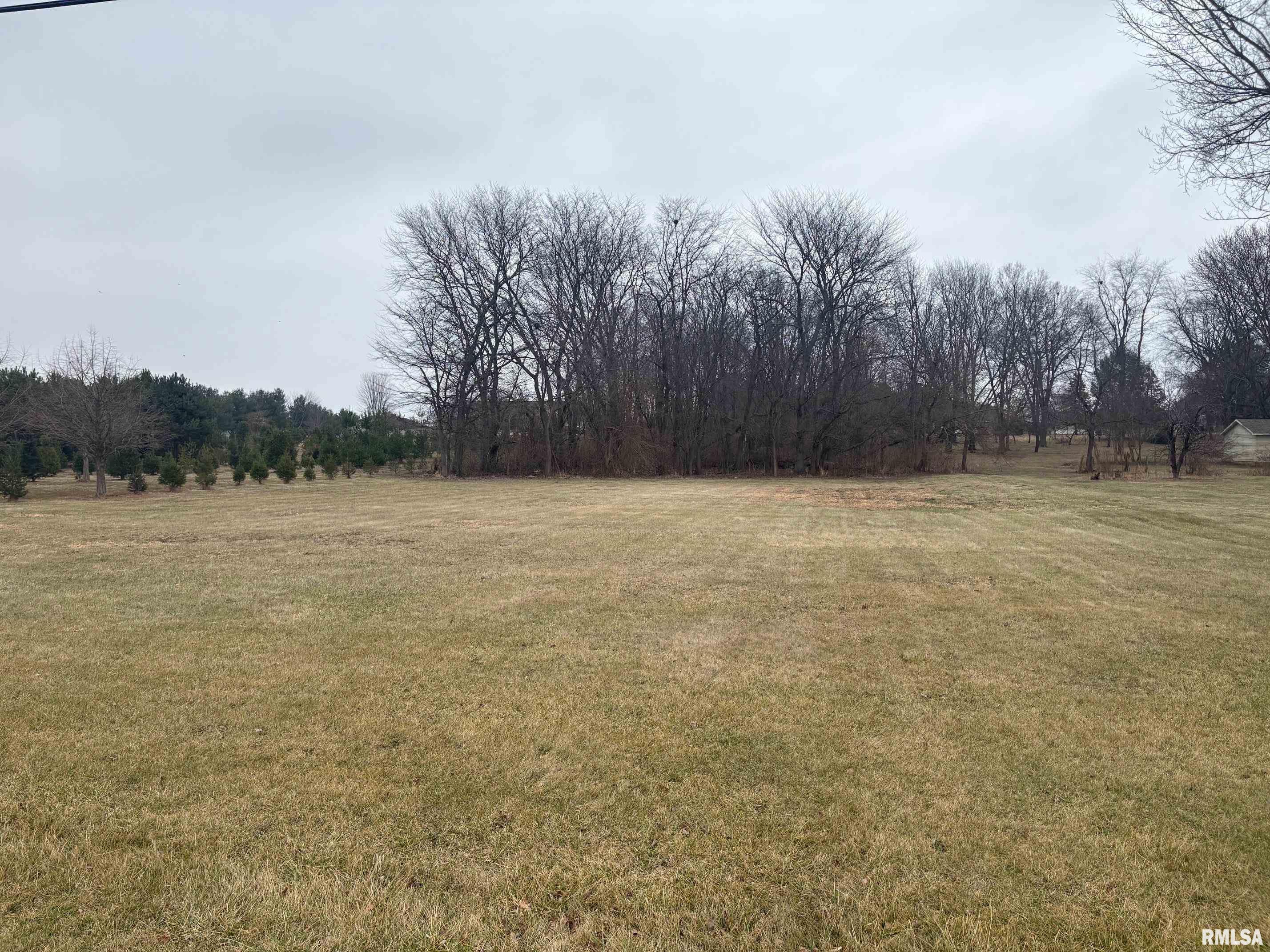 Lot 16 North Wayne Road Chillicothe, IL 61523 - Photo 1 of 3