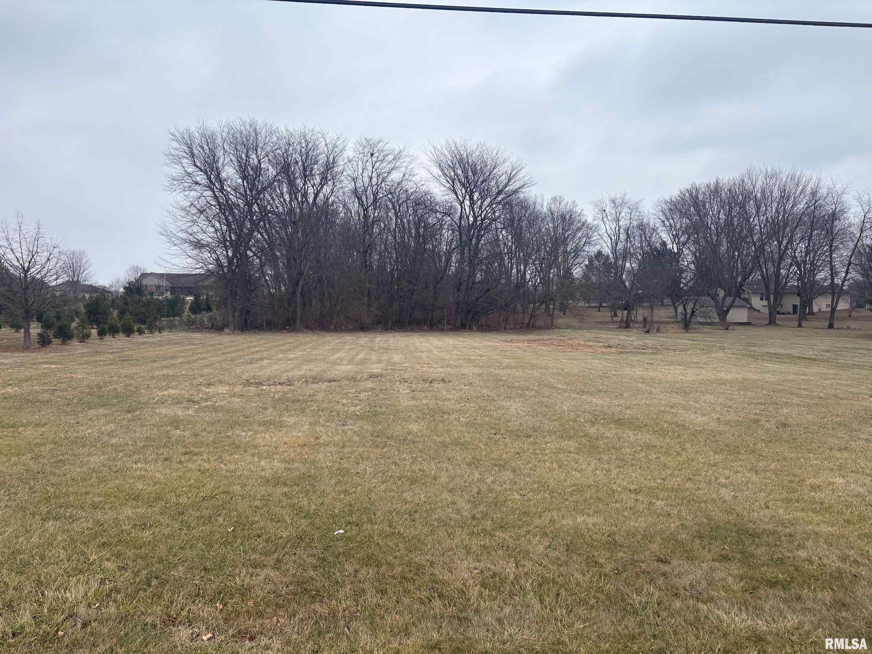 Lot 16 North Wayne Road Chillicothe, IL 61523 - Photo 2 of 3