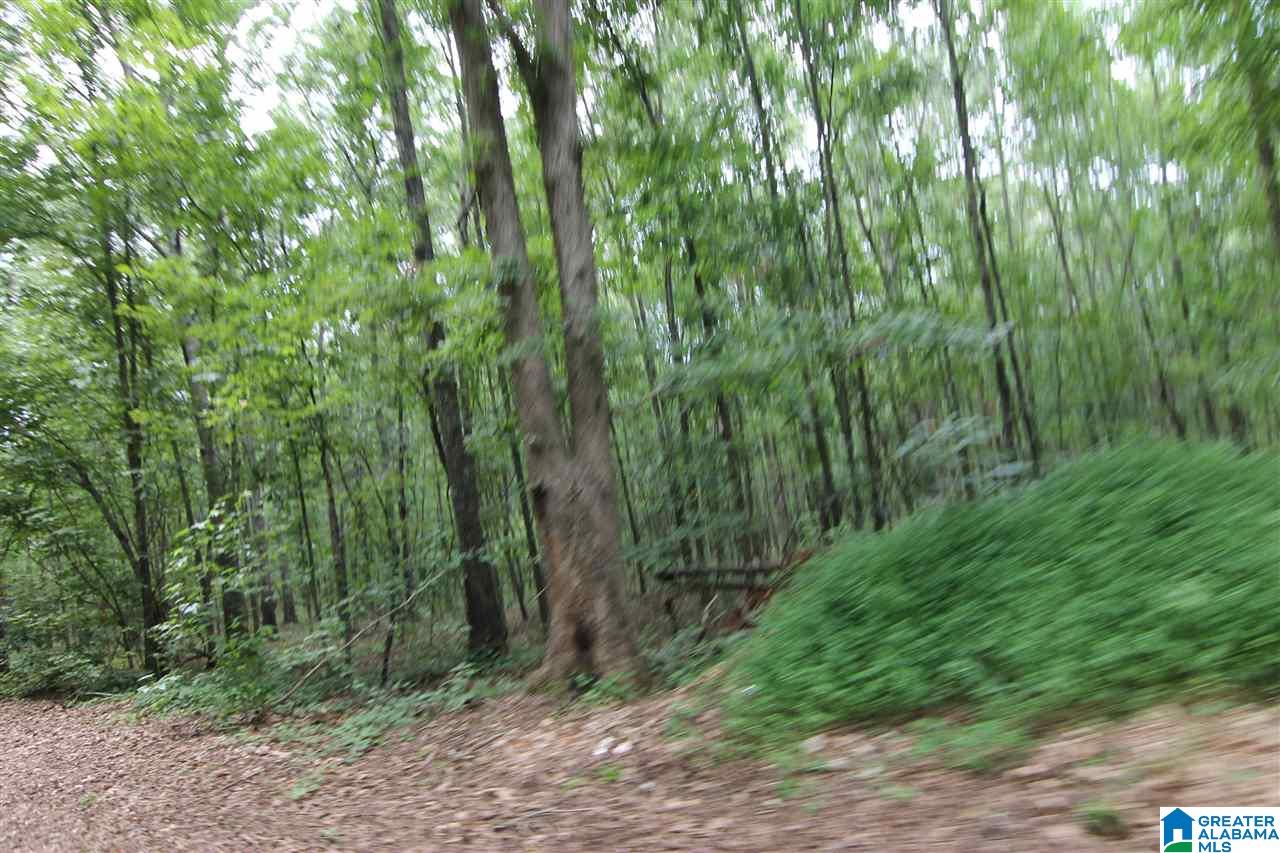3475 County Road 29, Unit 70± ACRES Heflin, AL 36264 - Photo 3 of 6