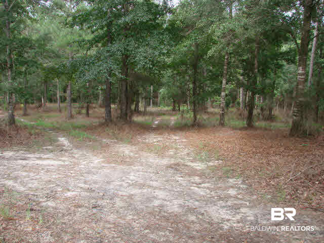 9311 D'Olive Road Daphne, AL 36527 - Photo 1 of 1 Gallery Image 1