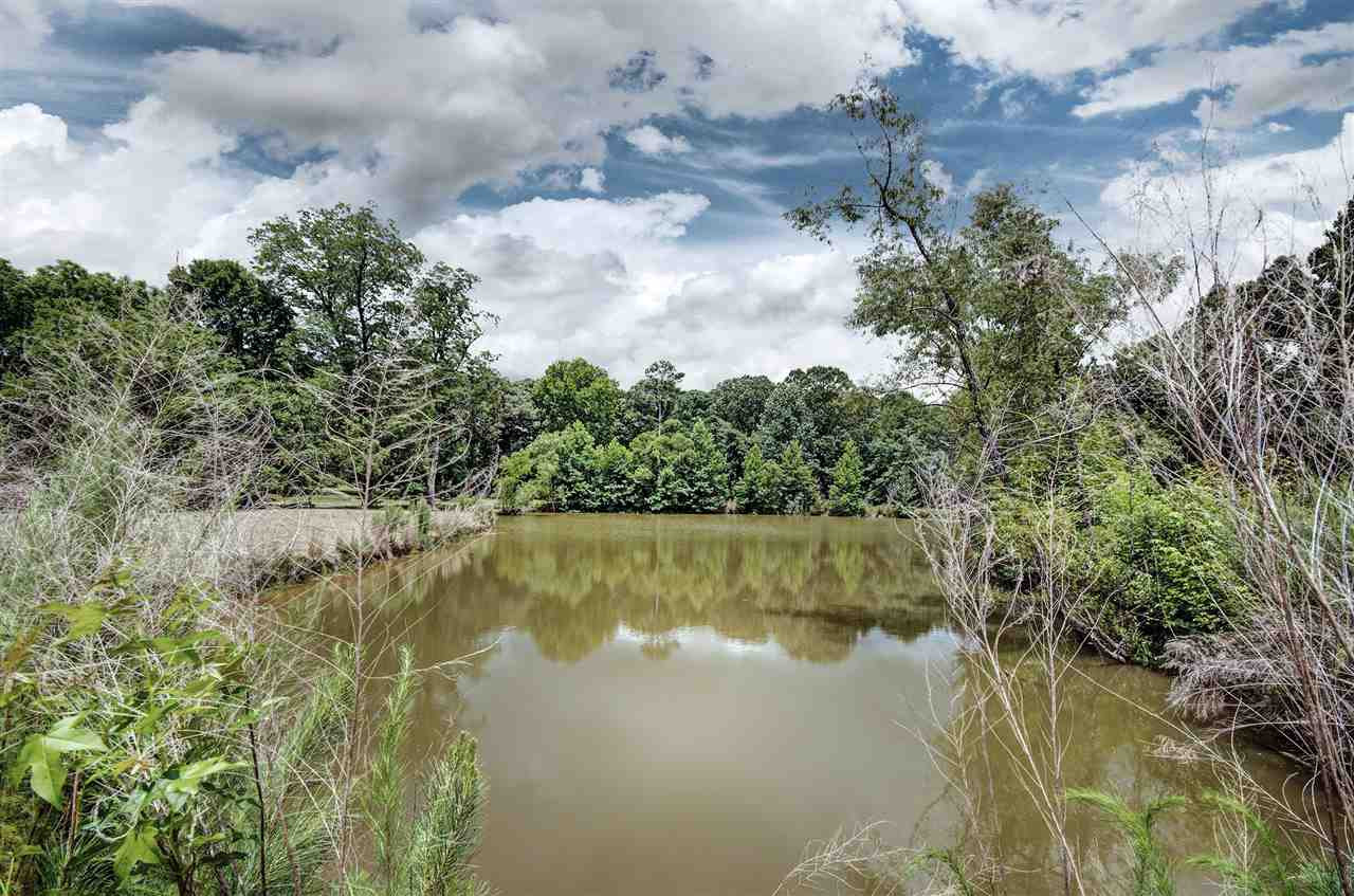 501 Simpson Road Pickens, MS 39146 - Photo 46 of 49 Photo 47
