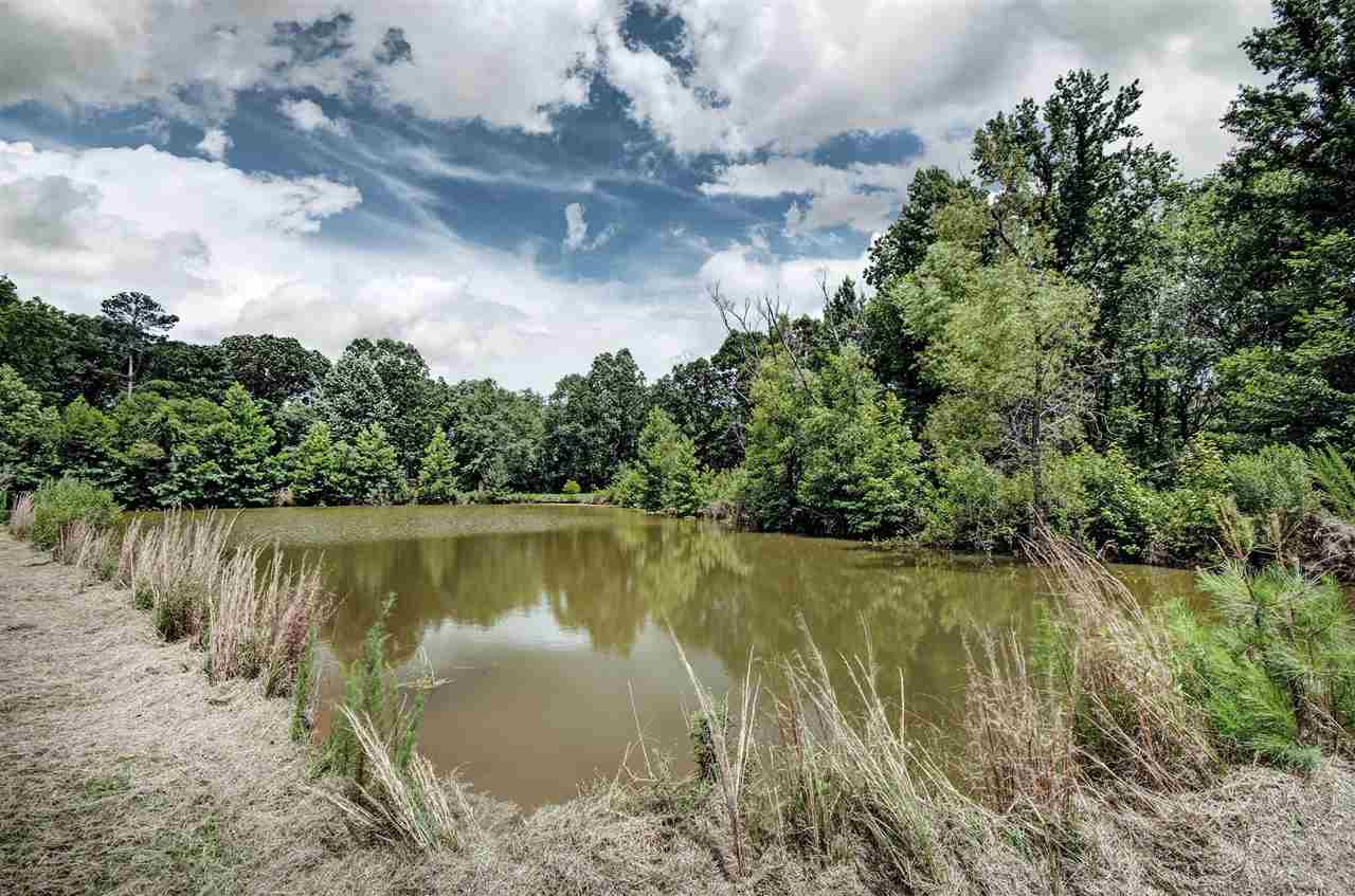 501 Simpson Road Pickens, MS 39146 - Photo 47 of 49 Photo 48