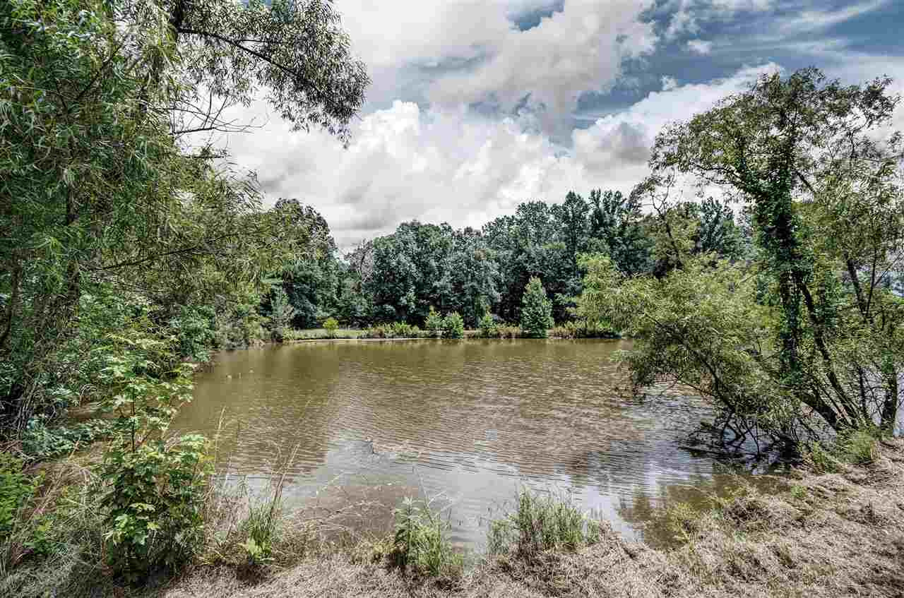 501 Simpson Road Pickens, MS 39146 - Photo 48 of 49 Photo 49