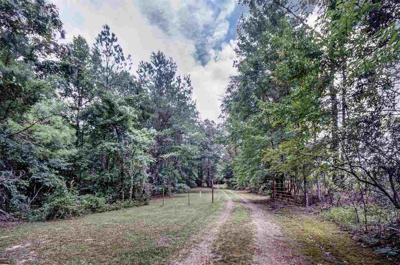 501 Simpson Road Pickens, MS 39146 - Photo 6 of 49 Photo 6