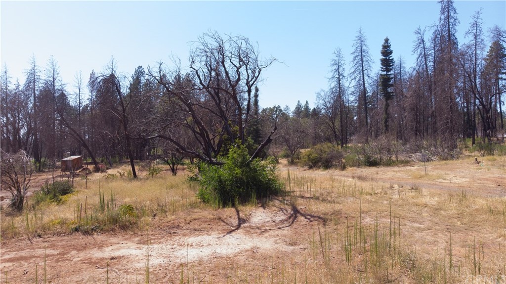5805 Sawmill Road Paradise, CA 95969 - Photo 1 of 1 a view of a yard covered with trees