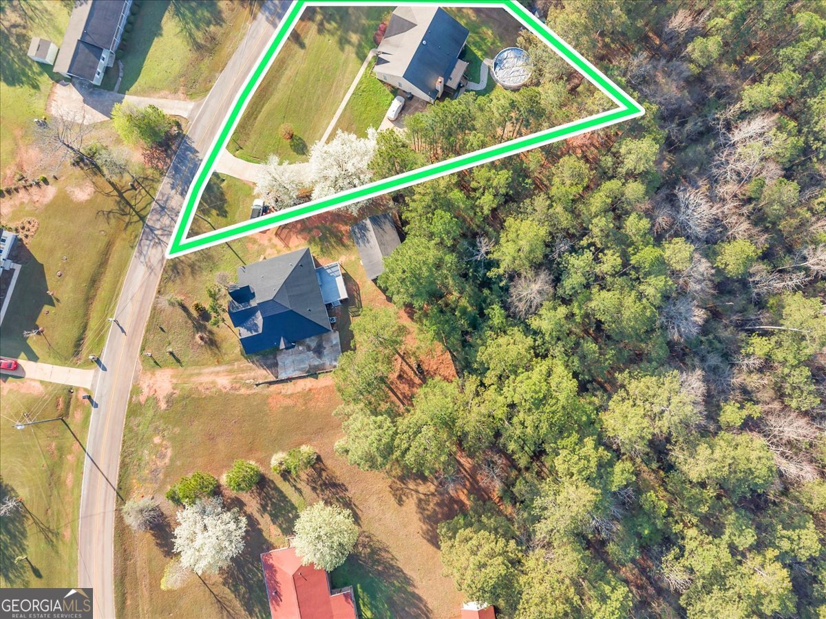 153 Wheehaw Road Macon, GA 31211 - Photo 3 of 38 Property Bounds on the right of the Green Line