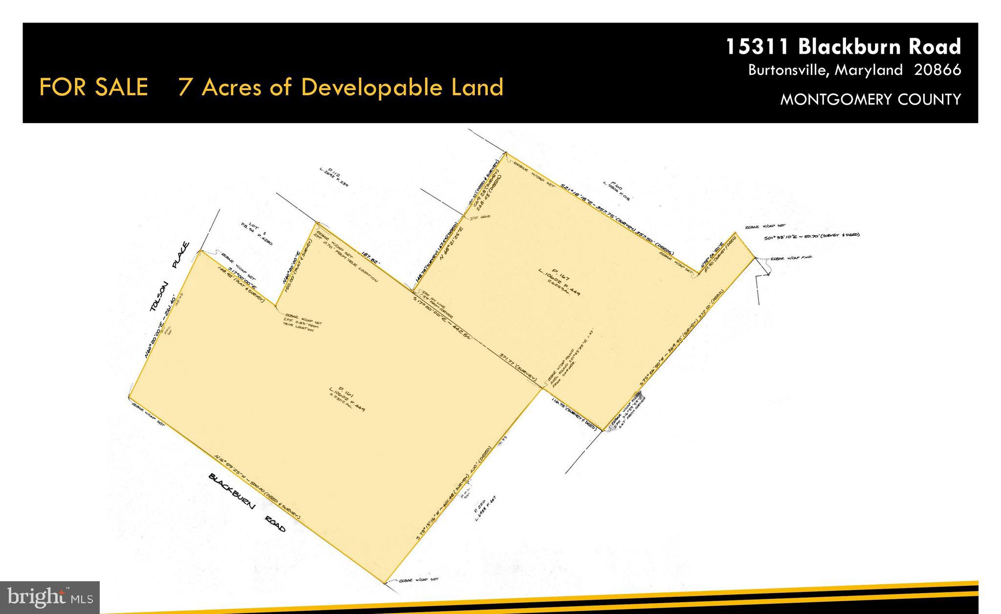 15311 Blackburn Road Burtonsville, MD 20866 - Photo 3 of 3