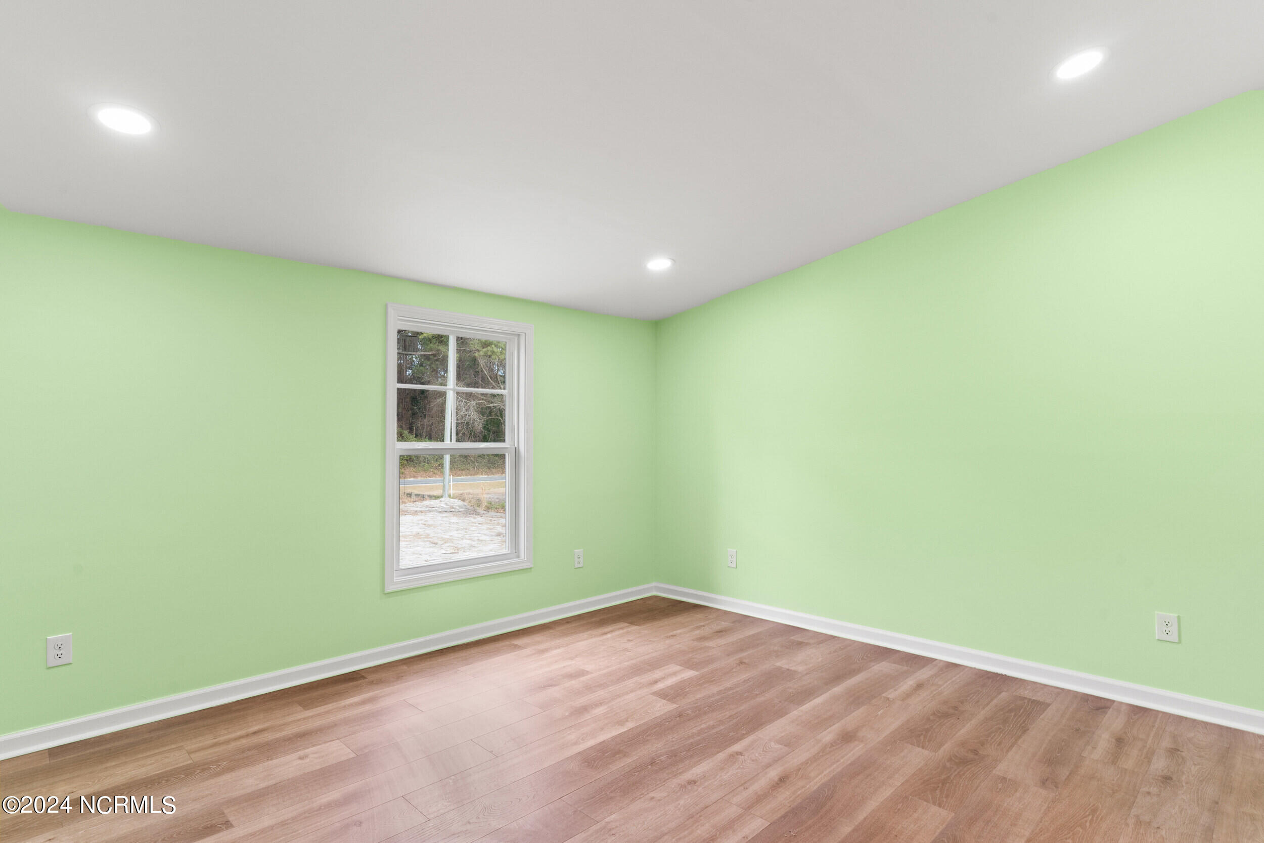 168 Stocking Head Road Rose Hill, NC 28458 - Photo 15 of 40 Primary