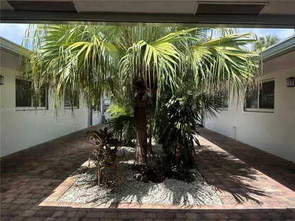 a view of a plant