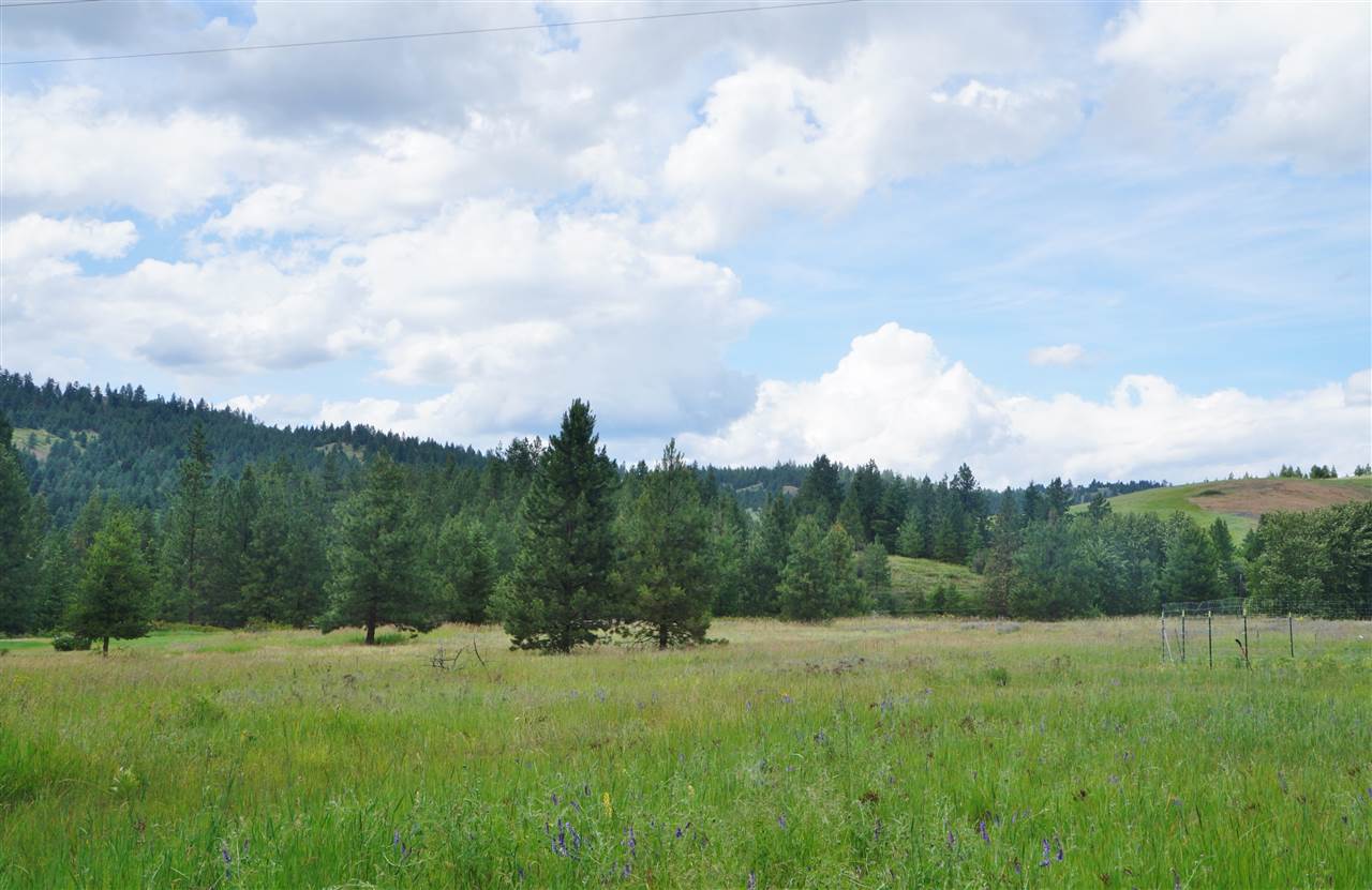 2676 C Pleasant Valley Road Rice, WA 99167 - Photo 3 of 8
