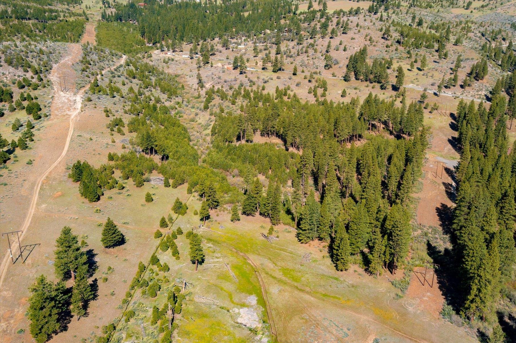 Feenune Road Loyalton, CA 96118 - Photo 7 of 28