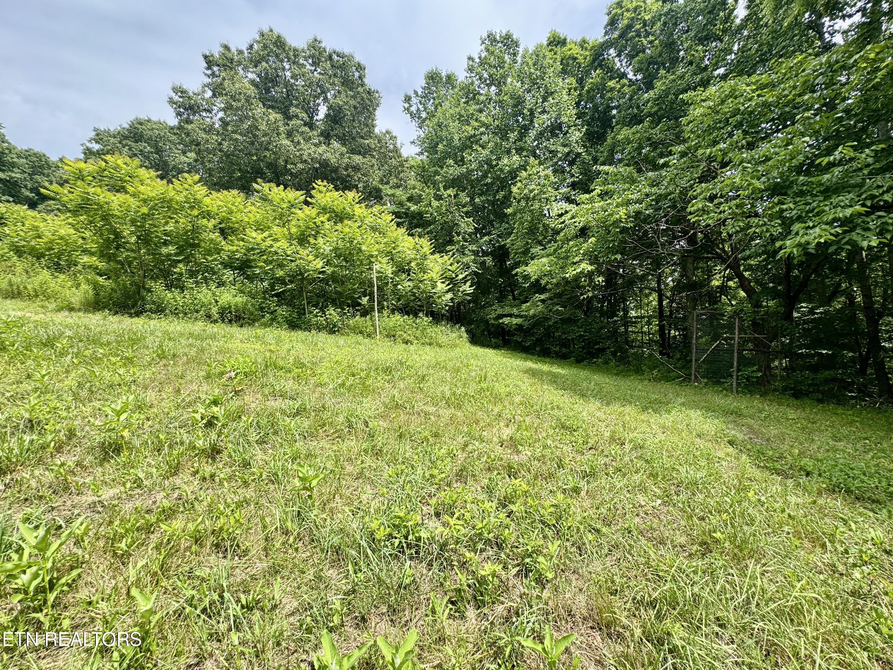 378 Johnson Hollow Road New Tazewell, TN 37825 - Photo 33 of 35 1-33