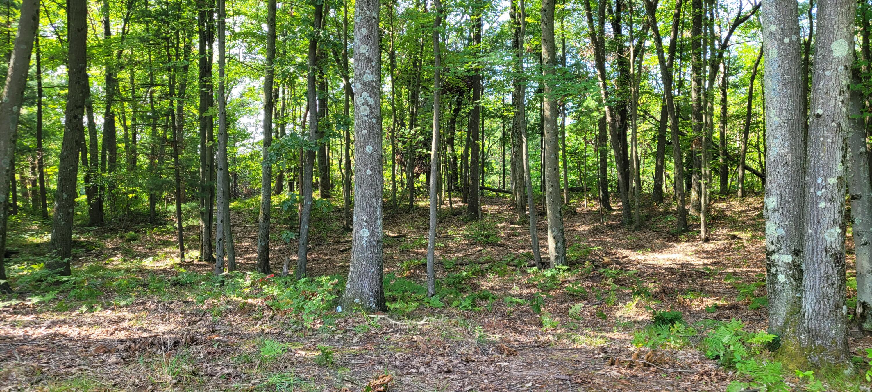 1750 Dame Road Whitehall, MI 49461 - Photo 22 of 43 20240822_105443