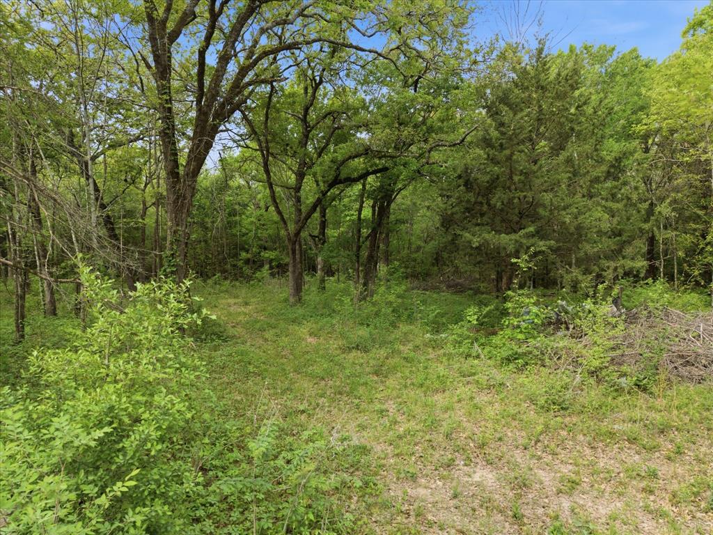637 County Road 3437 Wills Point, TX 75169 - Photo 5 of 13