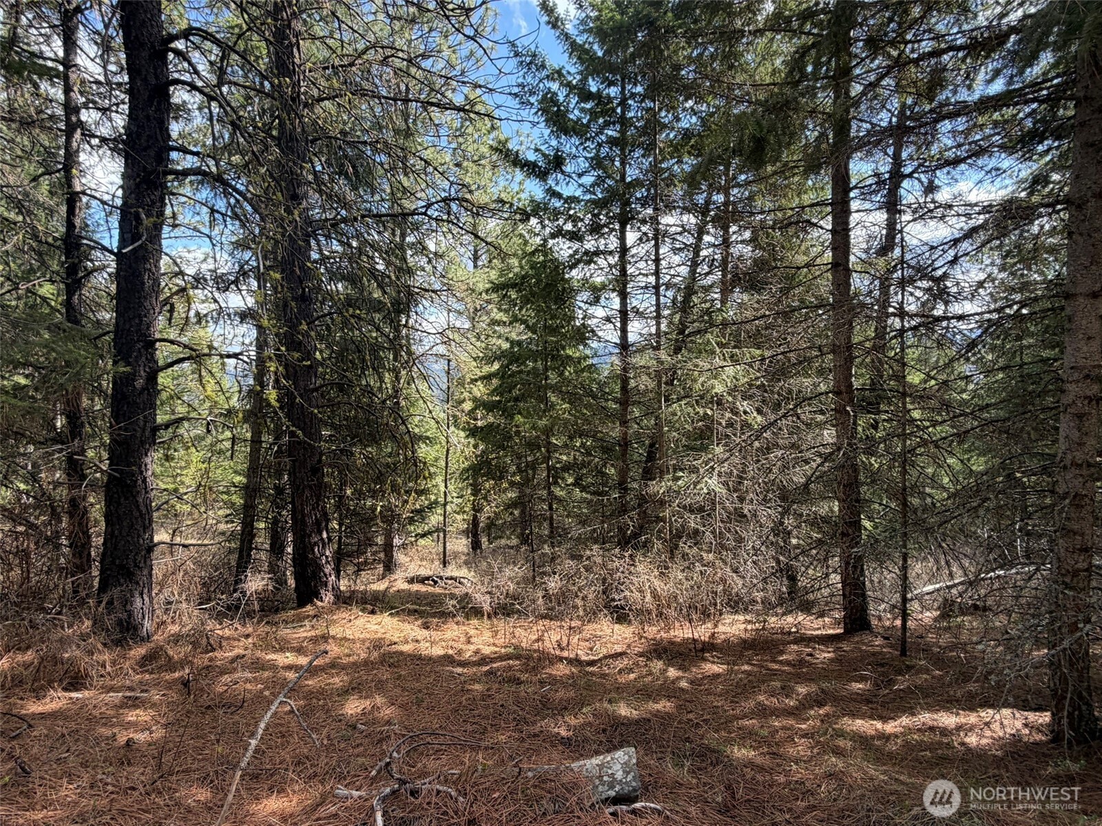111-tbd W West Curlew Lake Road Republic, WA 99166 - Photo 13 of 16