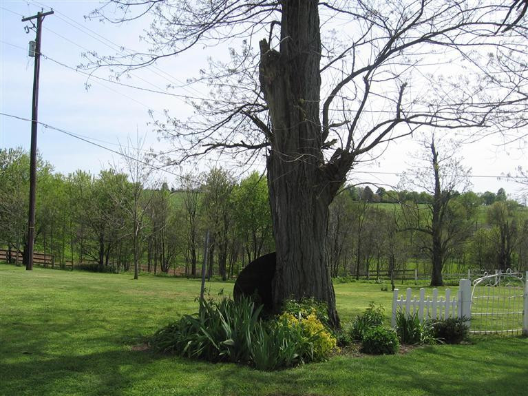 2630 McCowans Ferry Road Versailles, KY 40383 - Photo 35 of 35 Photo 35
