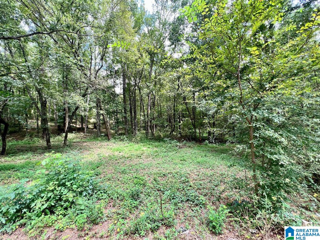 7432 Roper Road, Unit 4 Trussville, AL 35173 - Photo 9 of 19