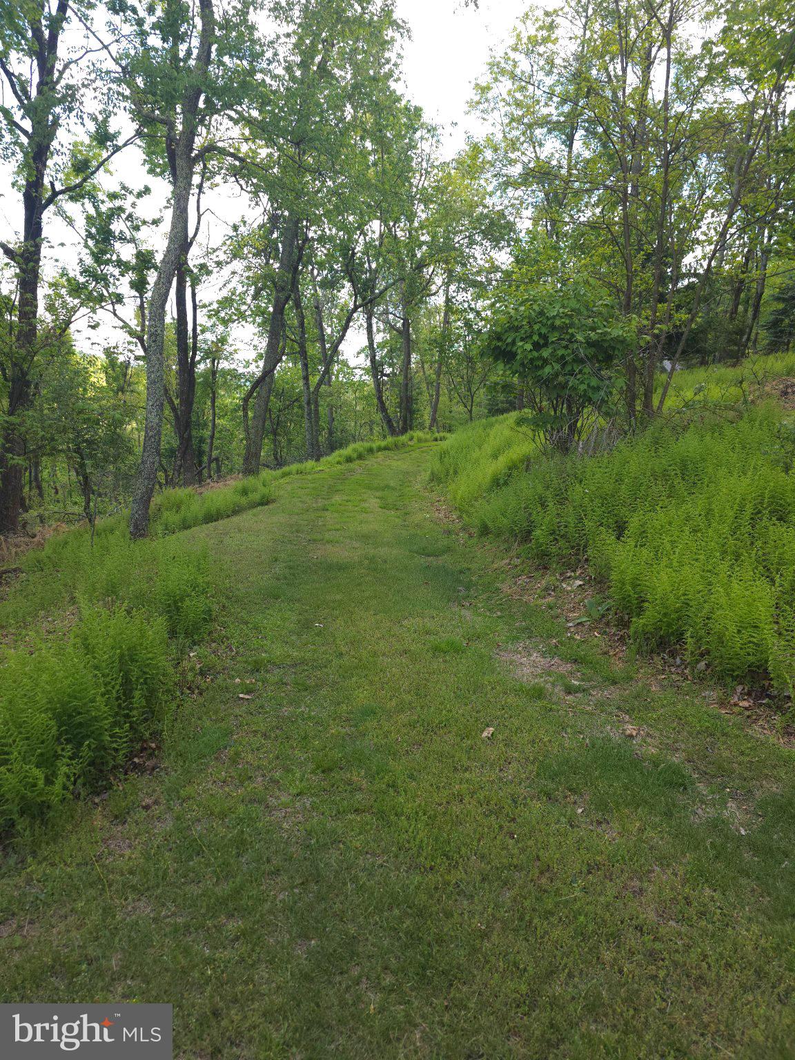 152 Sharp Ridge Lane Franklin, WV 26807 - Photo 48 of 53 a view of a lush green space