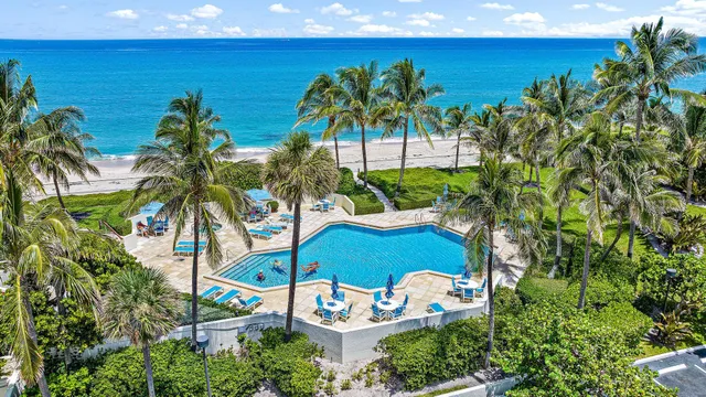 a view of a bunch of flowers in back yard of the house