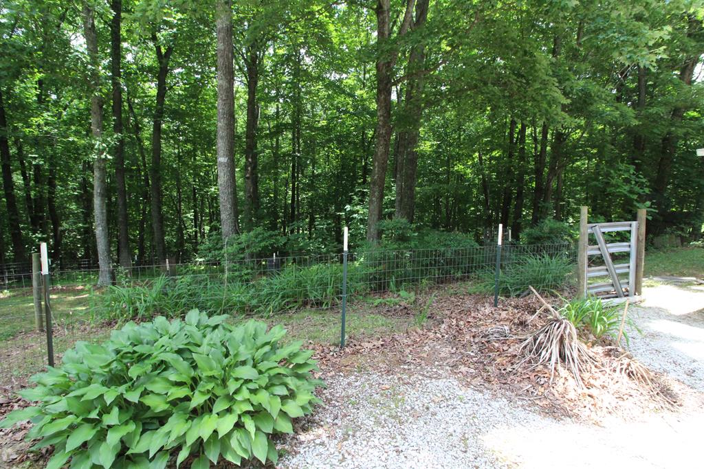 6093 Joy Ranch Road, Unit 126A46 Fancy Gap, VA 24328 - Photo 55 of 69 Gallery Image 55
