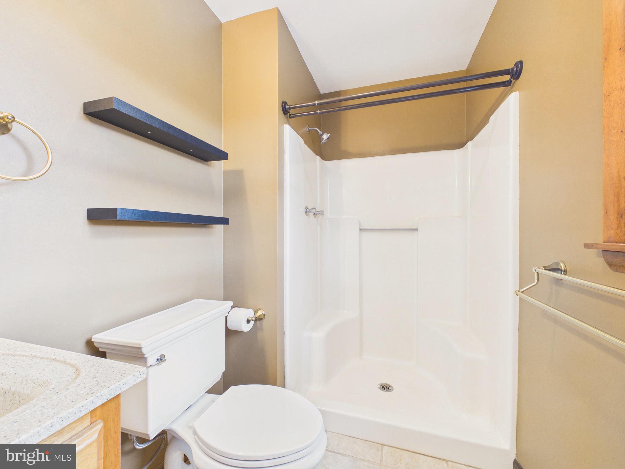 1109 Matamoras Road Halifax, PA 17032 - Photo 21 of 78 Primary Full Bath