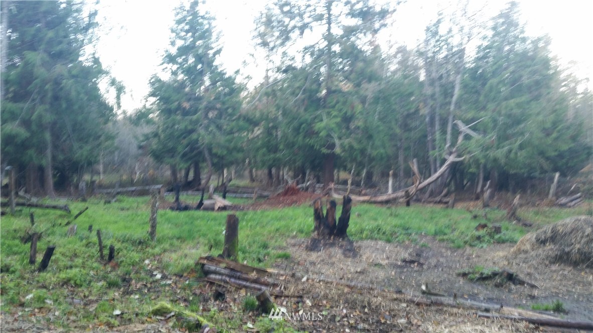 137 Guy Kelly Road Port Angeles, WA 98362 - Photo 16 of 20