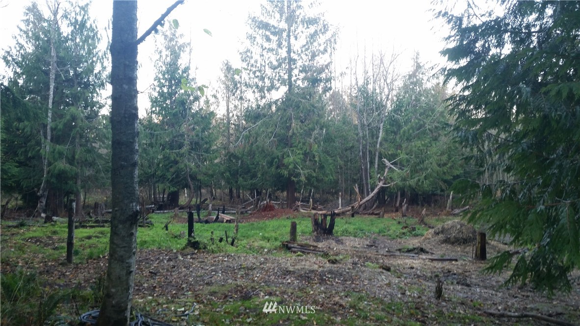 137 Guy Kelly Road Port Angeles, WA 98362 - Photo 19 of 20