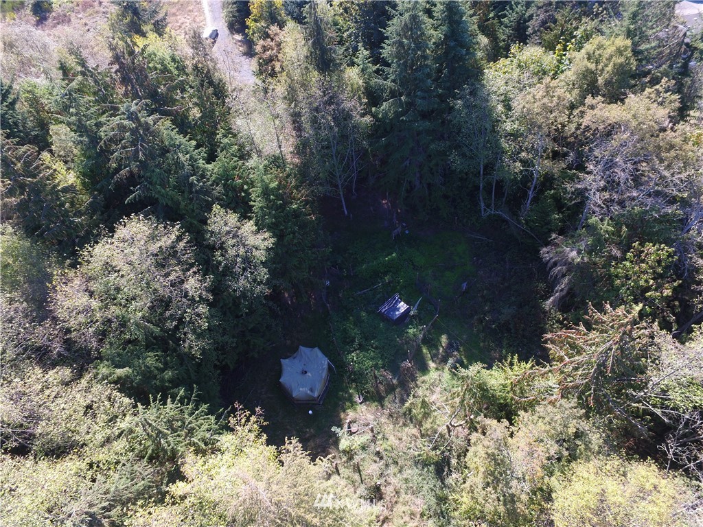 137 Guy Kelly Road Port Angeles, WA 98362 - Photo 5 of 20