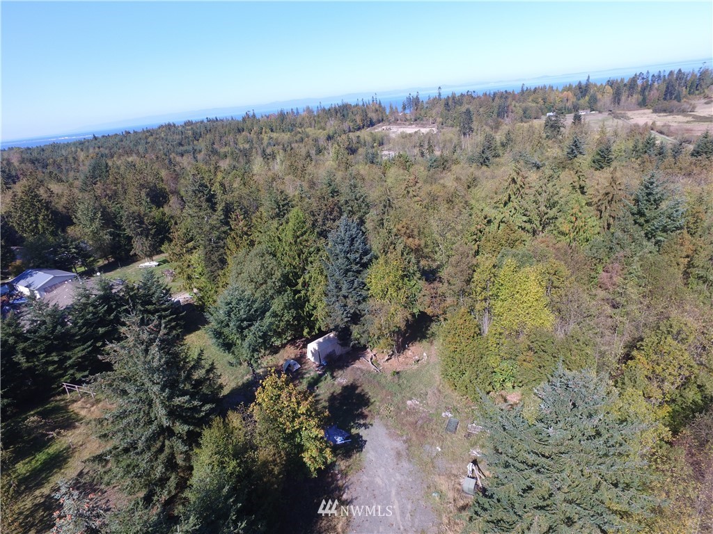 137 Guy Kelly Road Port Angeles, WA 98362 - Photo 6 of 20
