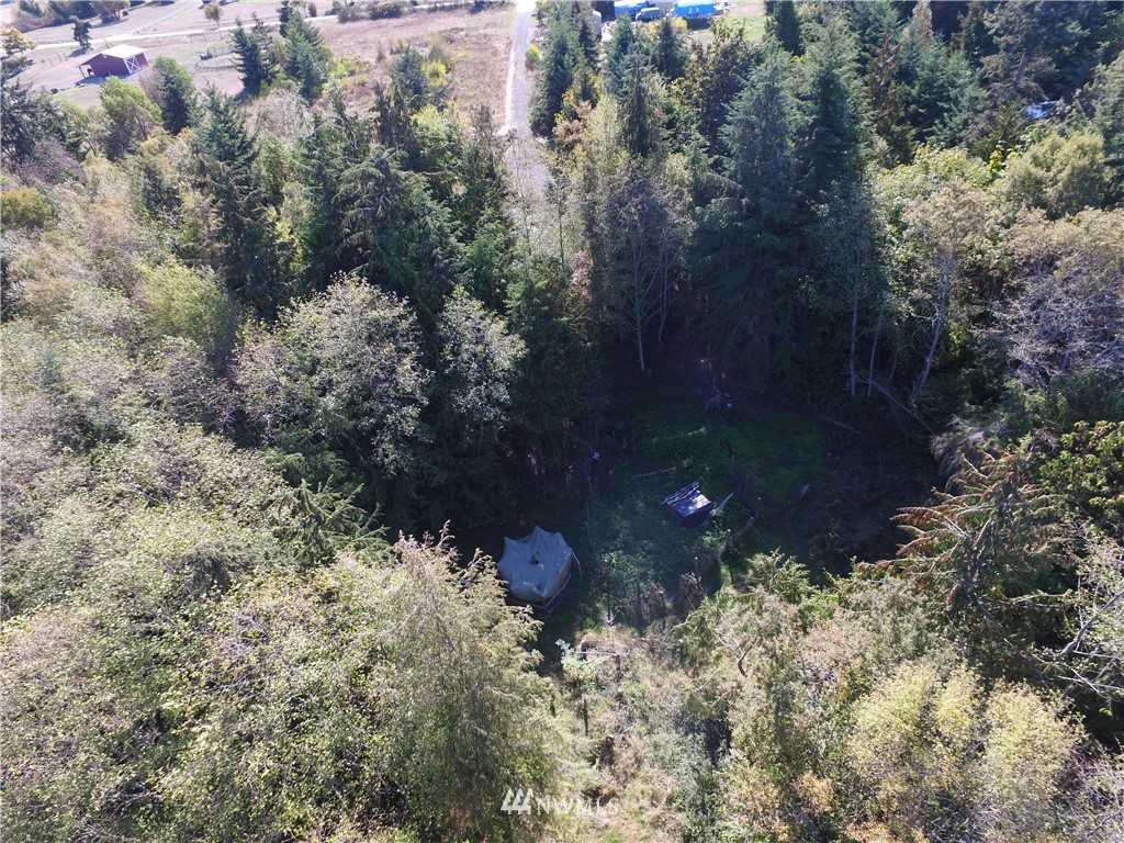 137 Guy Kelly Road Port Angeles, WA 98362 - Photo 7 of 20
