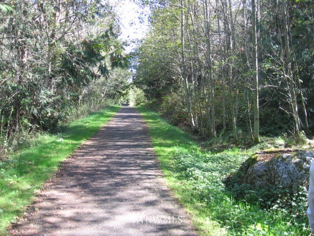 137 Guy Kelly Road Port Angeles, WA 98362 - Photo 8 of 20