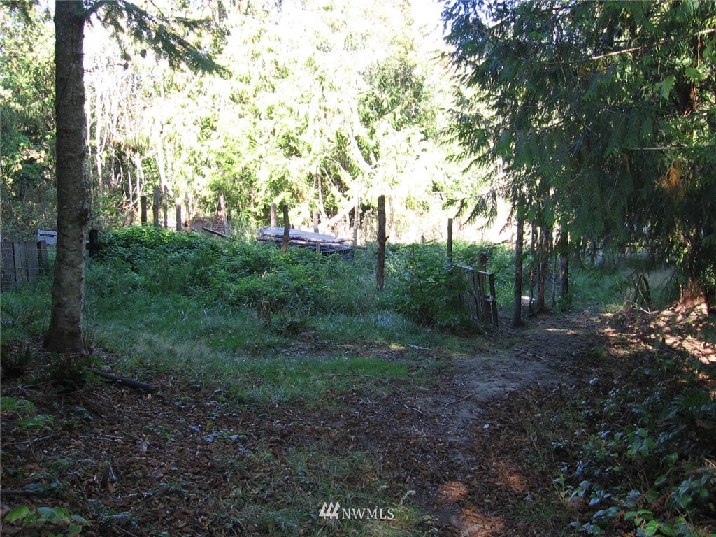 137 Guy Kelly Road Port Angeles, WA 98362 - Photo 9 of 20