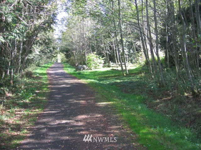 137 Guy Kelly Road Port Angeles, WA 98362 - Photo 10 of 20