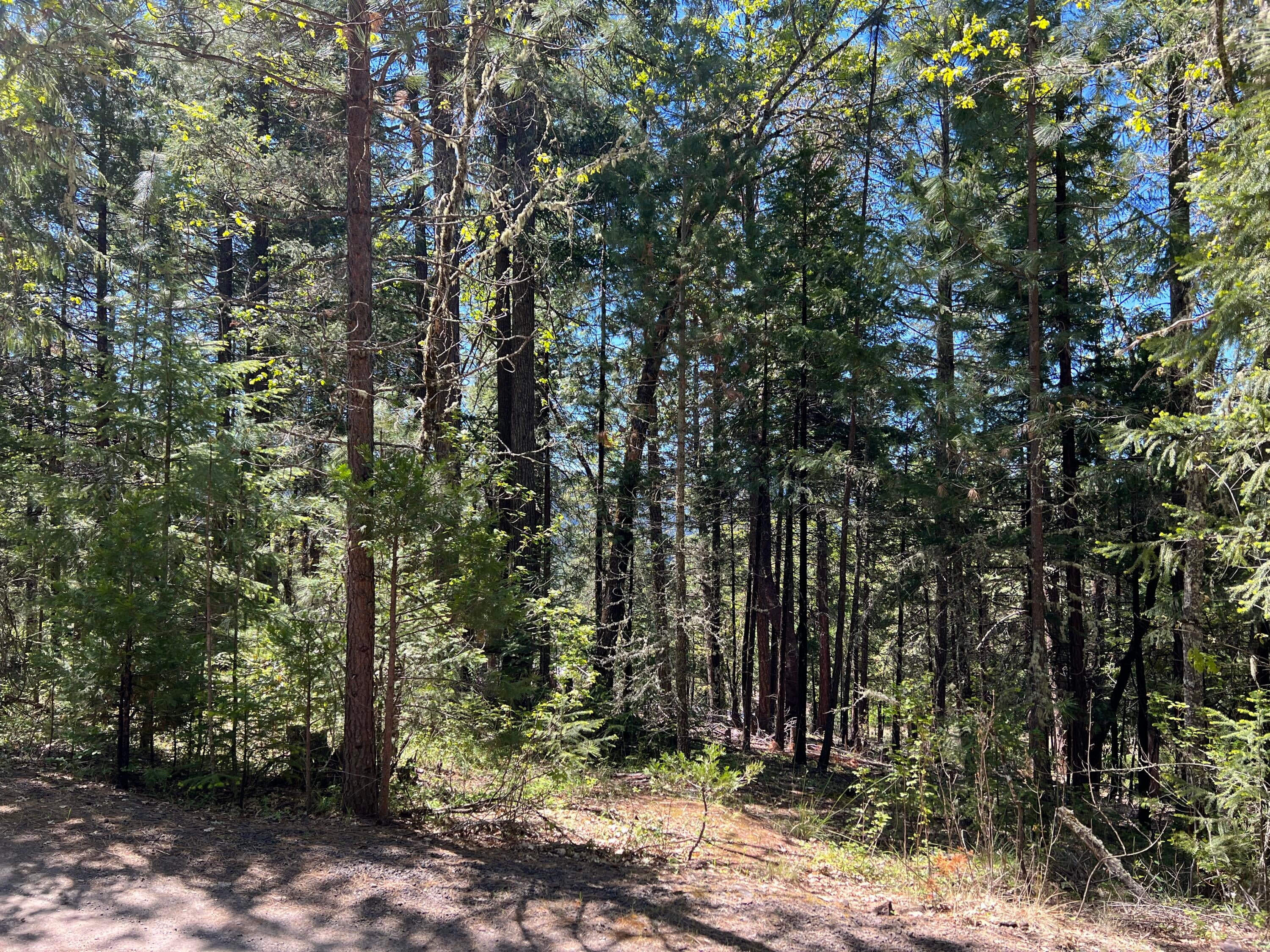 347 Flounce Rock Road Prospect, OR 97536 - Photo 2 of 12 IMG_2301