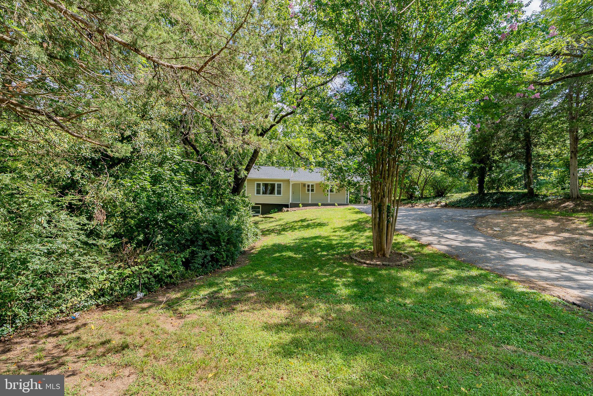 546 Lupton Road Woodstock, VA 22664 - Photo 4 of 43 Gallery Image 4