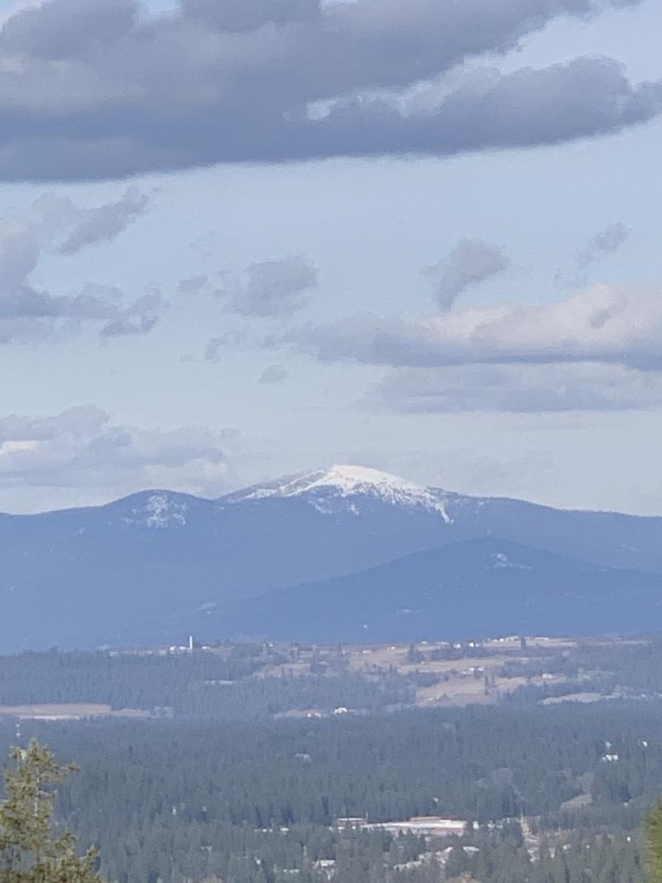 10532 North Edna Lane Spokane, WA 99218 - Photo 47 of 50