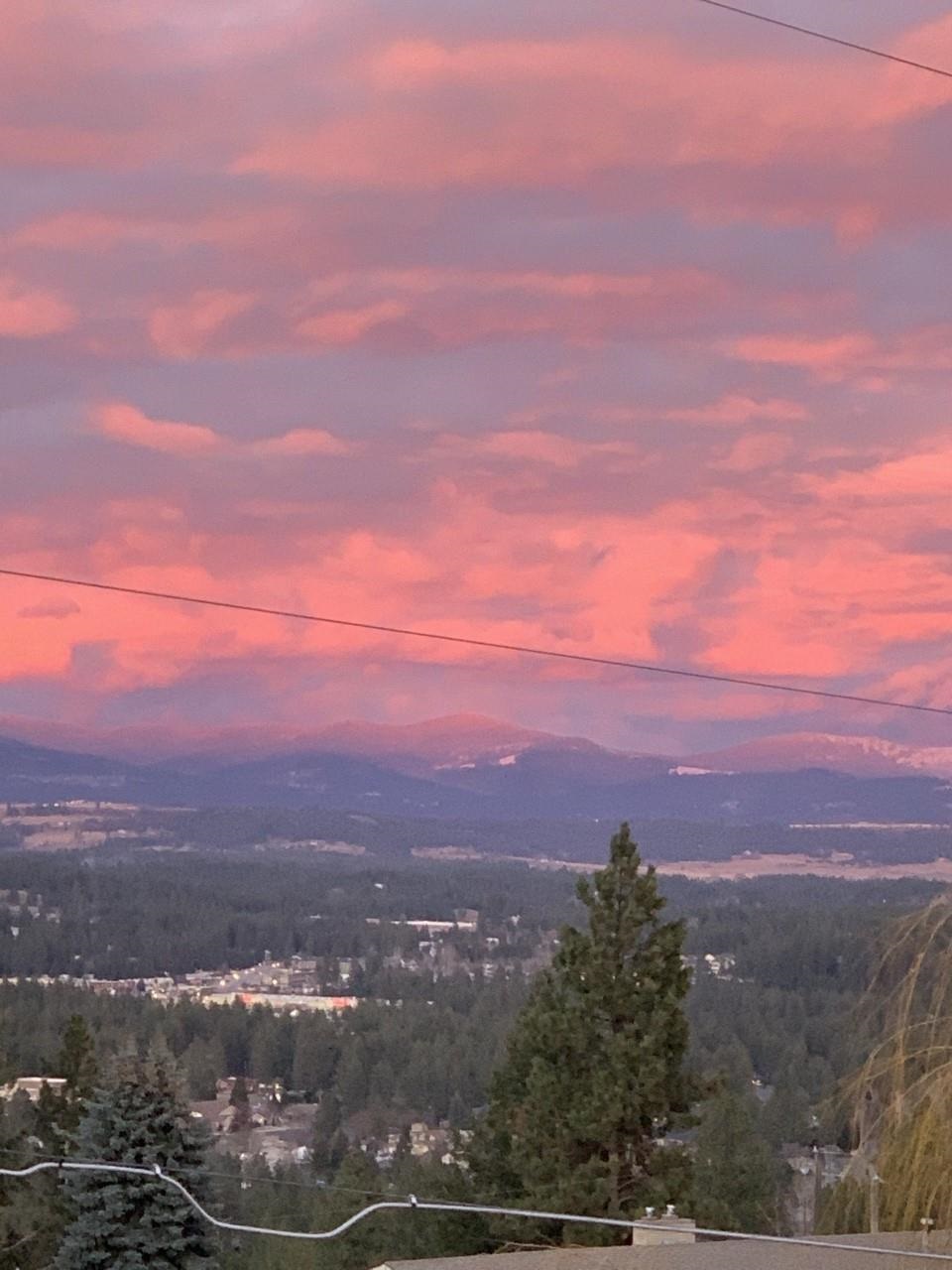 10532 North Edna Lane Spokane, WA 99218 - Photo 48 of 50