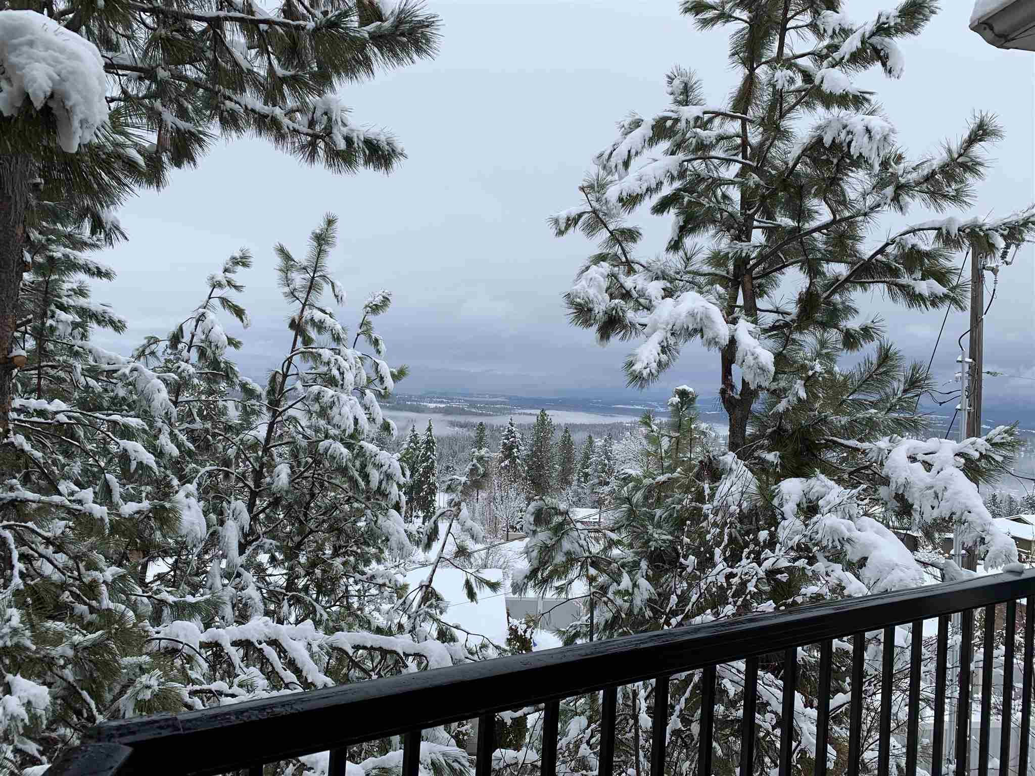 10532 North Edna Lane Spokane, WA 99218 - Photo 49 of 50