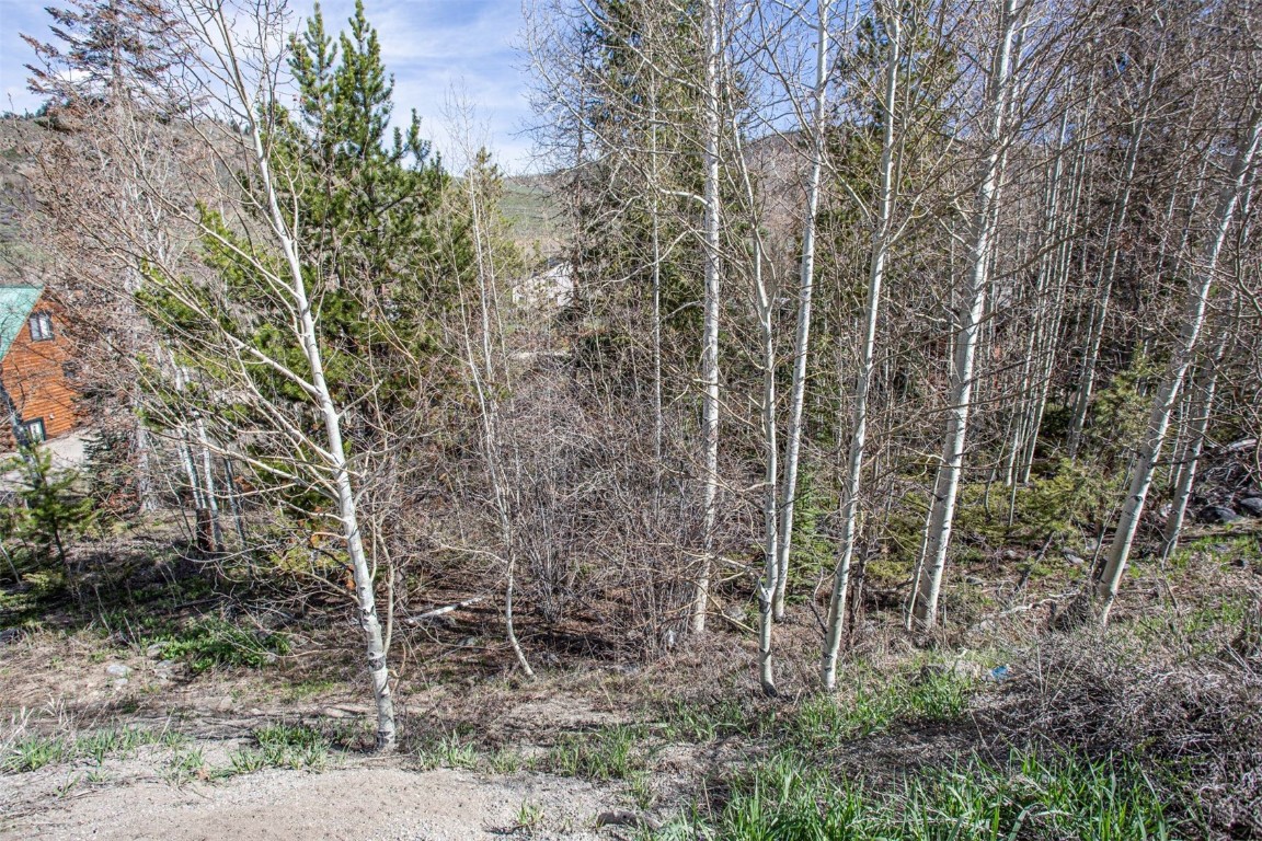 577 Deer Path Road Dillon, CO 80435 - Photo 11 of 27 a green field with lots of trees