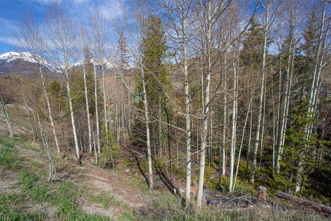 577 Deer Path Road Dillon, CO 80435 - Photo 12 of 27 a view of a pathway with a house