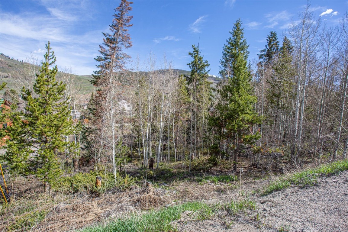 577 Deer Path Road Dillon, CO 80435 - Photo 13 of 27 a view of a yard