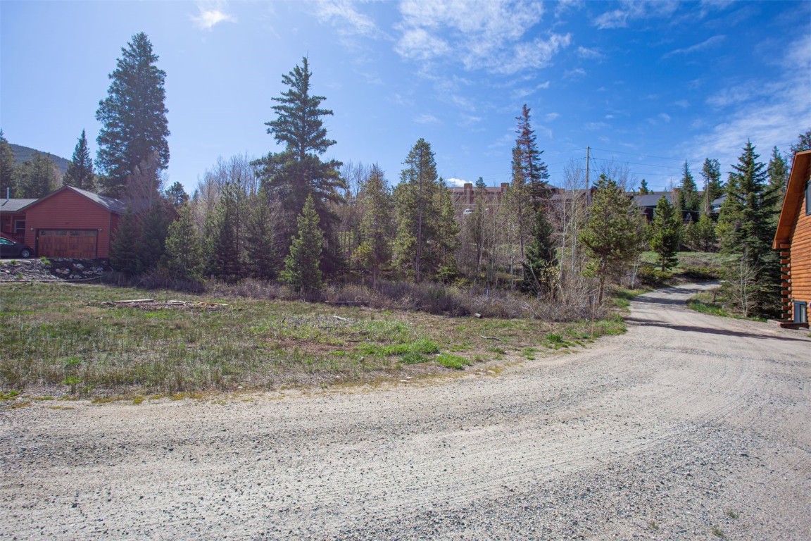 577 Deer Path Road Dillon, CO 80435 - Photo 19 of 27 a view of a yard with a tree