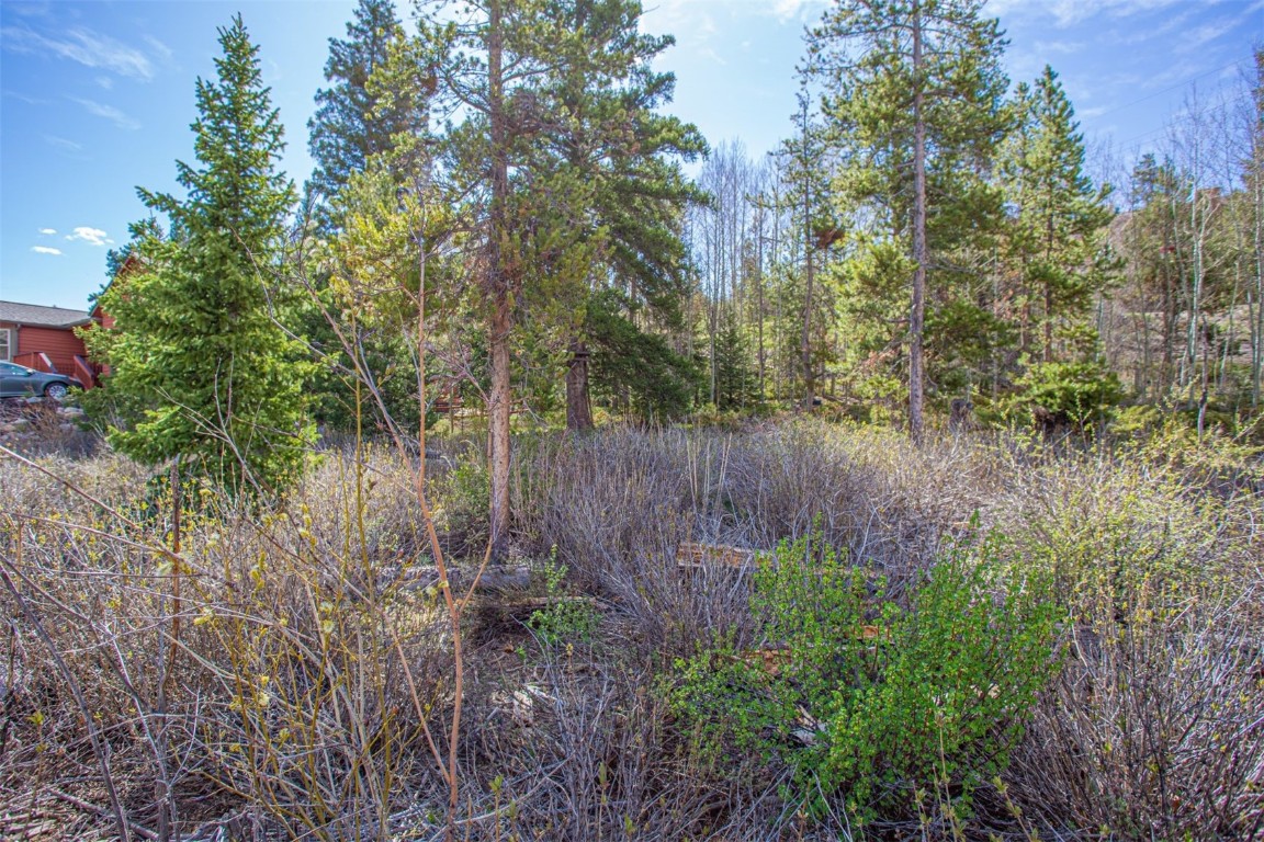 577 Deer Path Road Dillon, CO 80435 - Photo 20 of 27 a view of a backyard