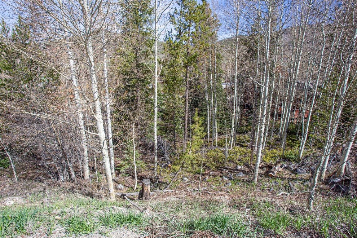 577 Deer Path Road Dillon, CO 80435 - Photo 2 of 27 a view of forest